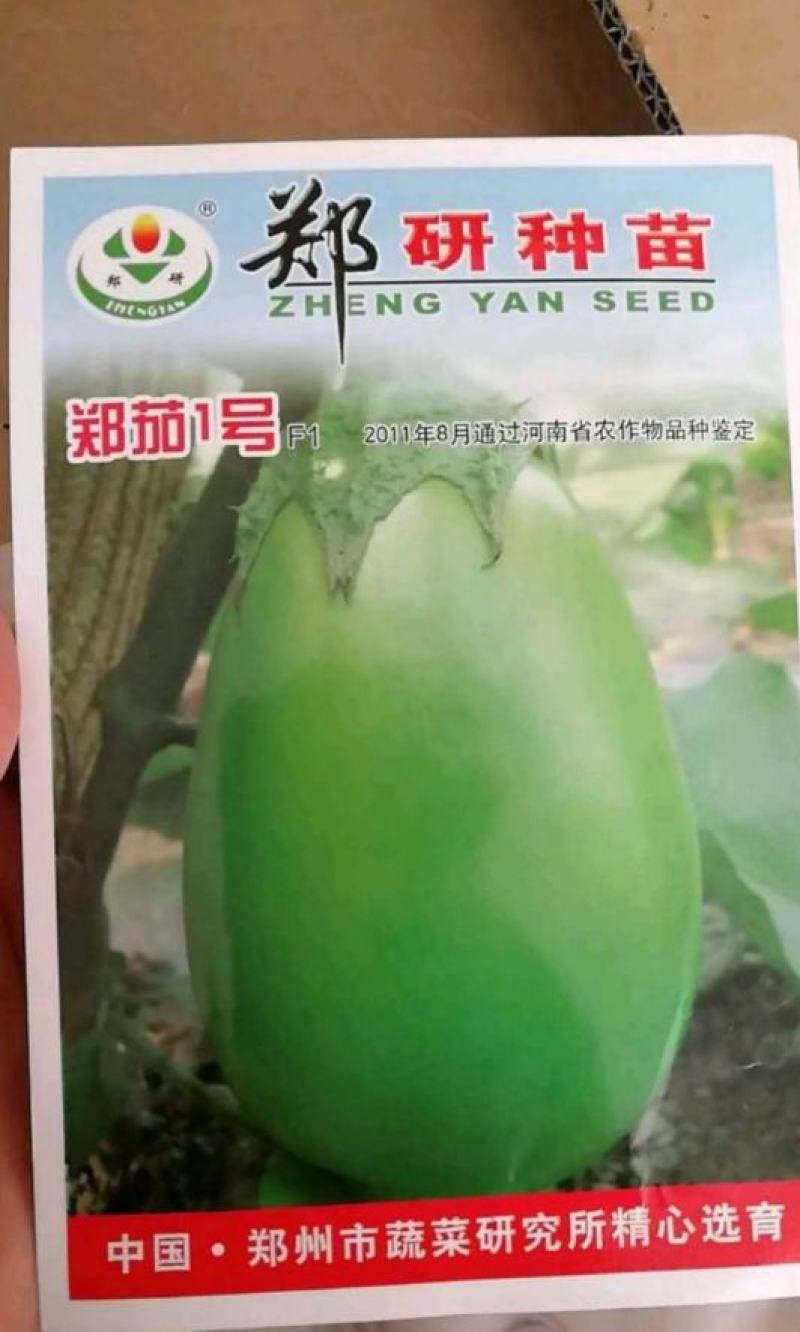 茄子种子皮色油绿肉质细腻早熟抗病强味甘