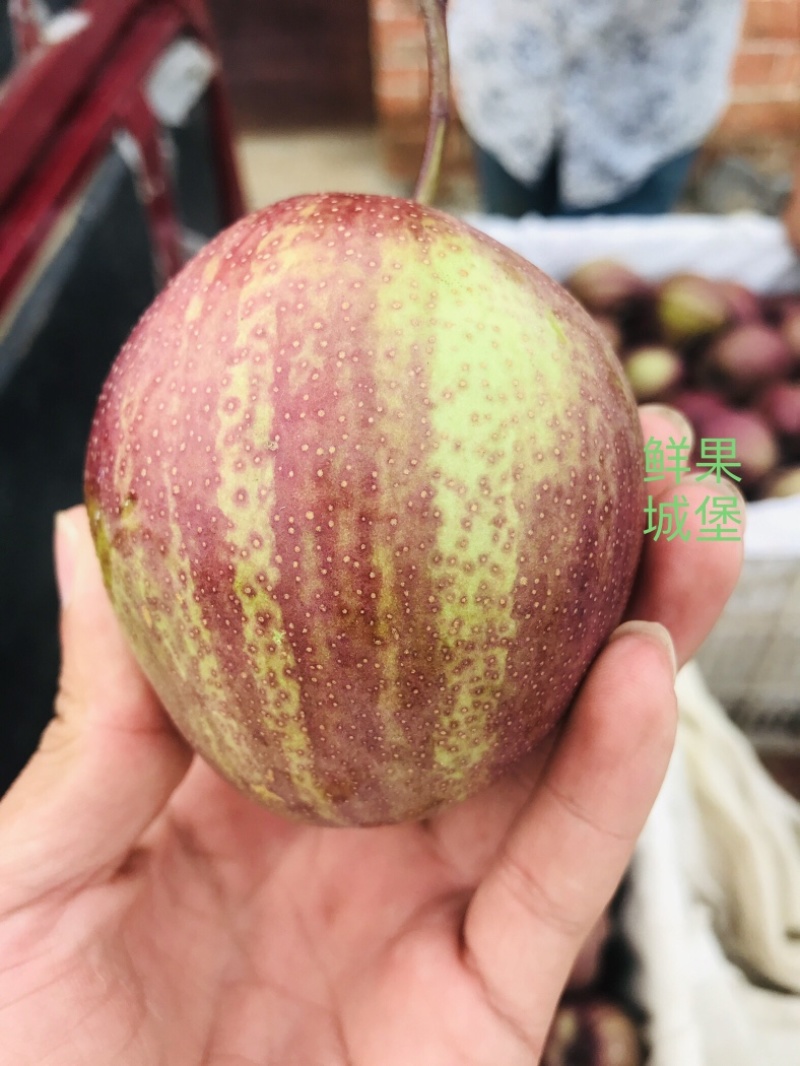 鲜果城堡精品彩虹梨红梨大量上市支持一件代发