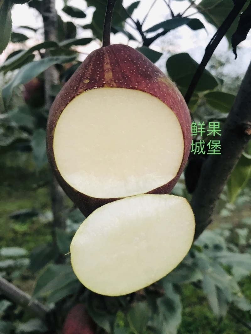 鲜果城堡精品彩虹梨红梨大量上市支持一件代发
