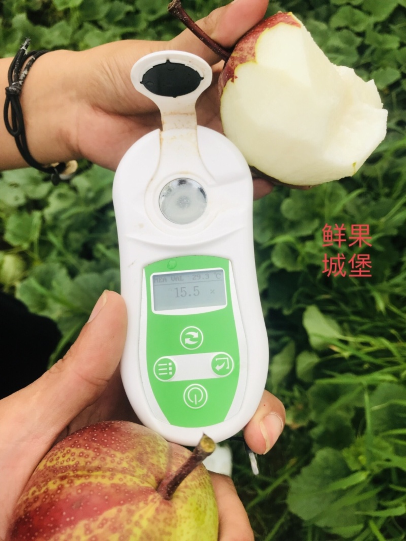 鲜果城堡精品彩虹梨红梨大量上市支持一件代发