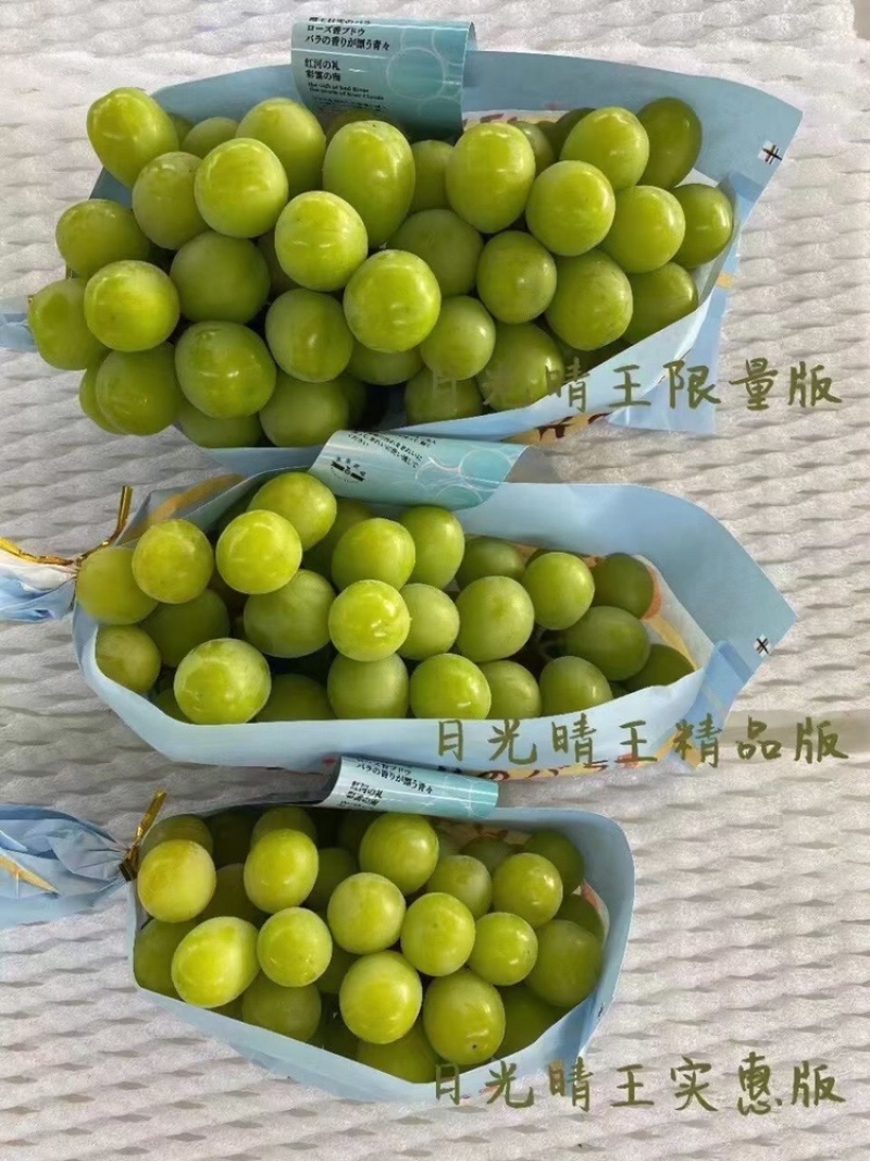 晴王阳光玫瑰葡萄大量发货中支持一件代发