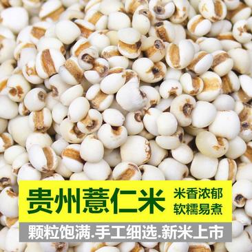 薏仁米薏米仁新货贵州大薏仁米可搭配赤豆红豆五谷杂粮粗粮油