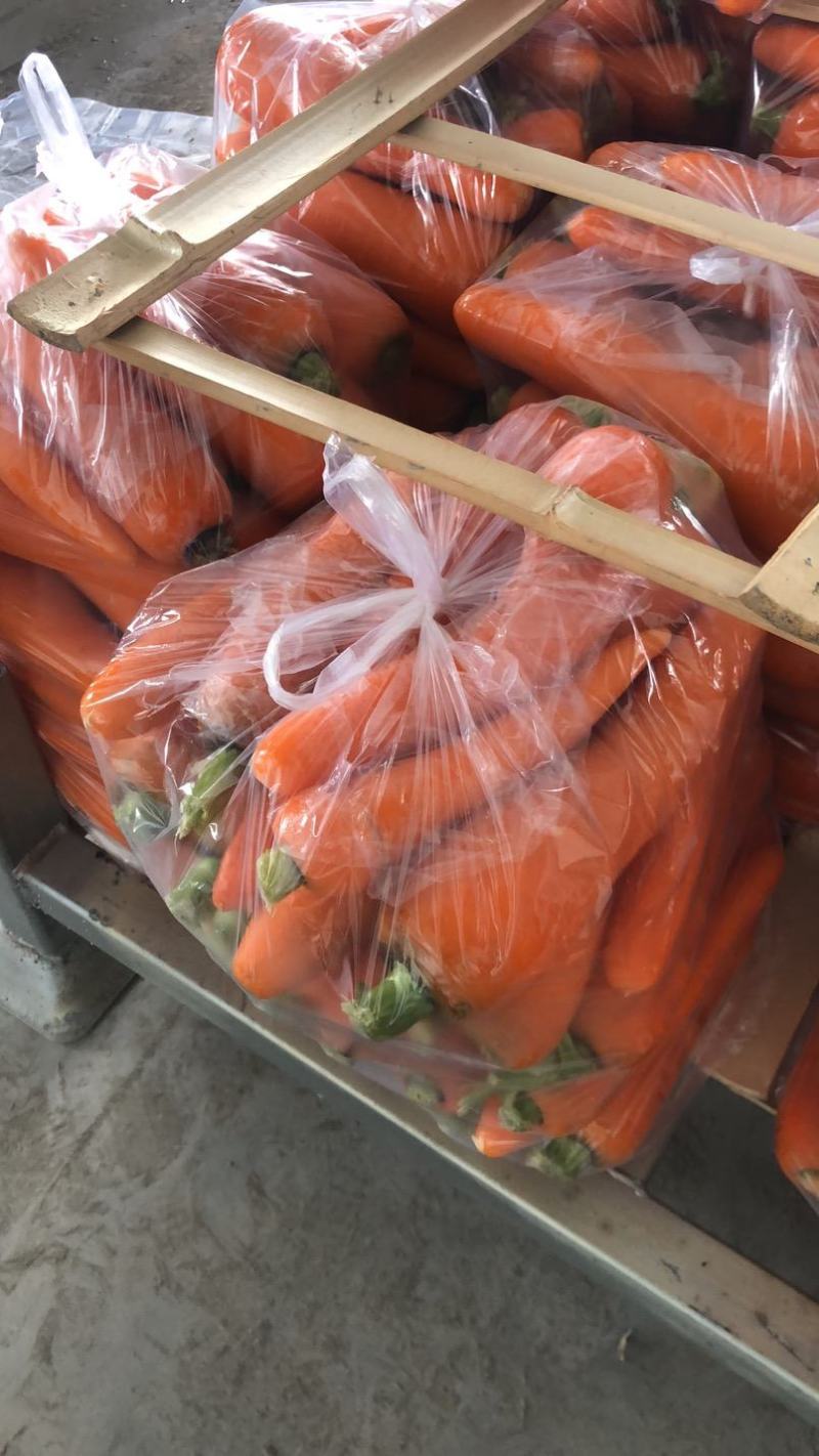 胡萝卜，三红胡萝卜，水洗胡萝卜，大量供应，市场，电商工厂