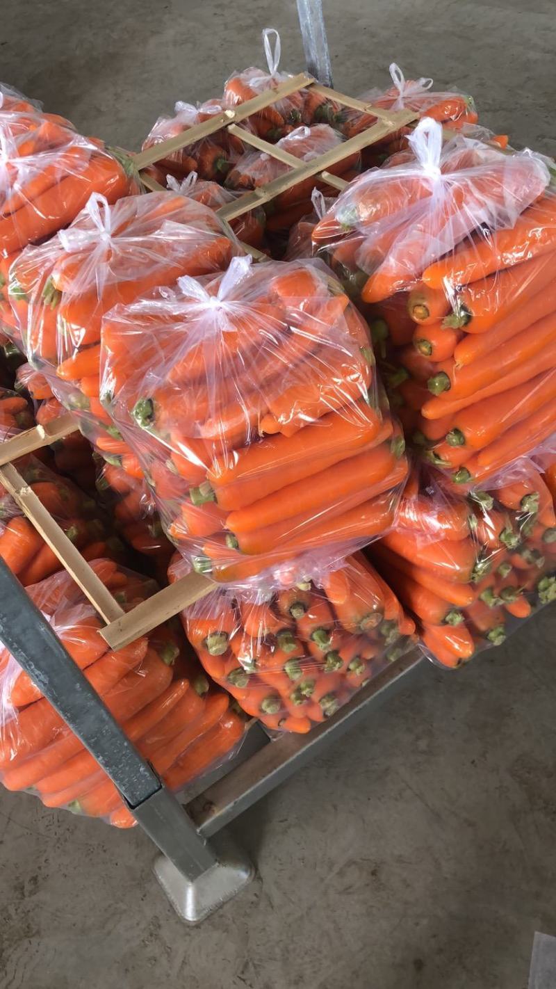 胡萝卜，三红胡萝卜，水洗胡萝卜，大量供应，市场，电商工厂
