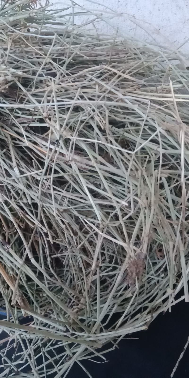 纯野生木贼、节节草、麻黄草，纯手工分拣，太阳自然晒干，