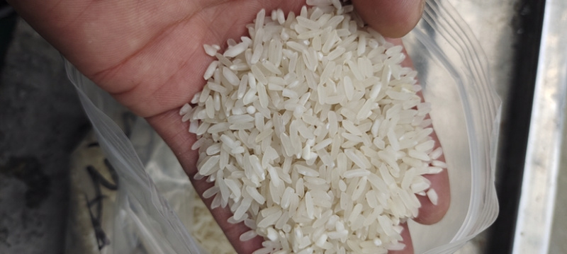 各类食堂米