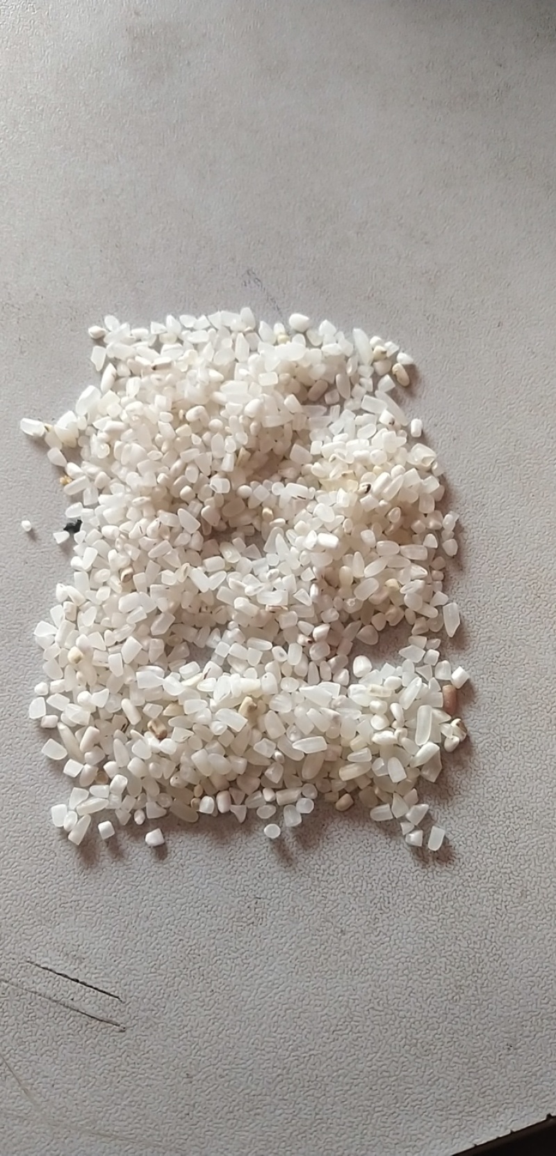进口双A级B12碎米