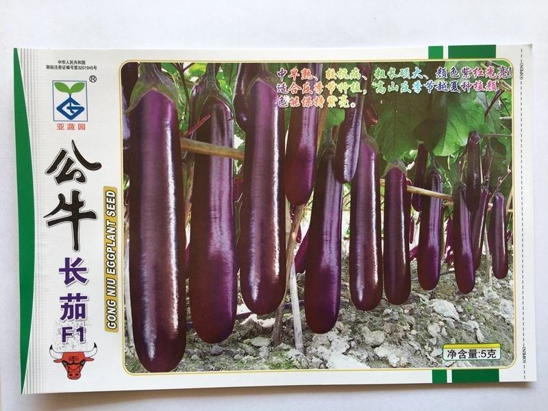 公牛长茄茄子种子，头尾均匀,深紫红色,表皮光亮1000粒