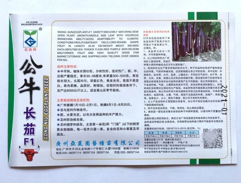 公牛长茄茄子种子，头尾均匀,深紫红色,表皮光亮1000粒