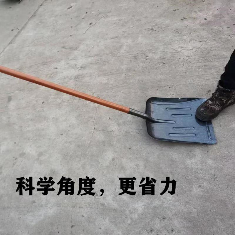 平头铲子农用锰钢特大号方锹鸡牛羊猪养殖场清粪铲铁锹头铲粪