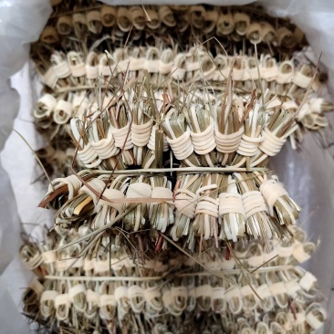 灯芯草手工卷灯芯花传统手工工艺清心