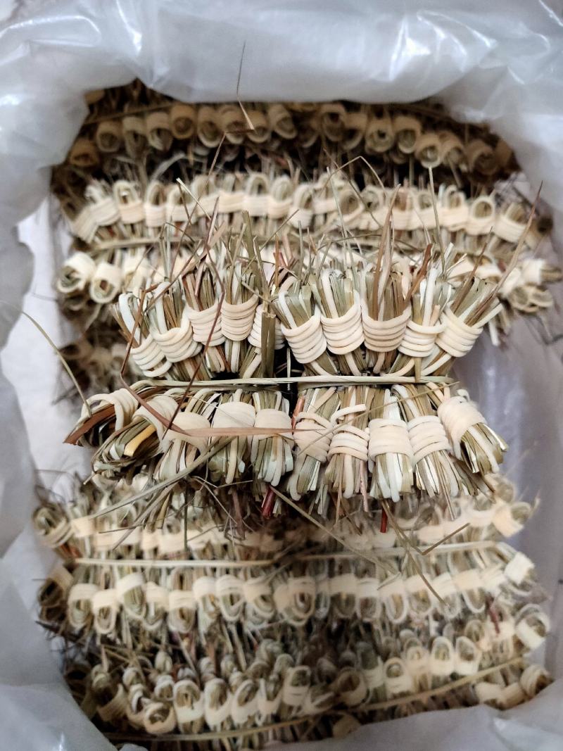灯芯草手工卷灯芯花传统手工工艺清心
