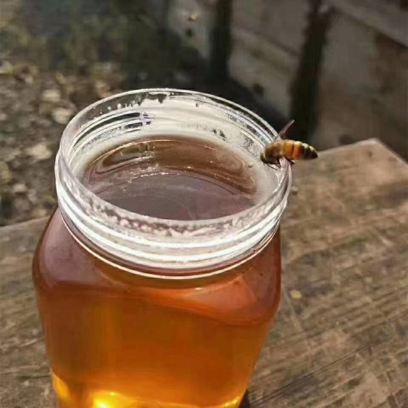 土蜜蜂