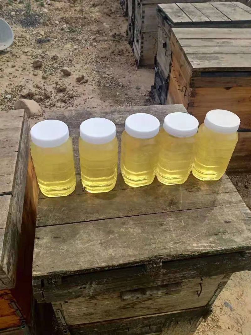 土蜂蜜