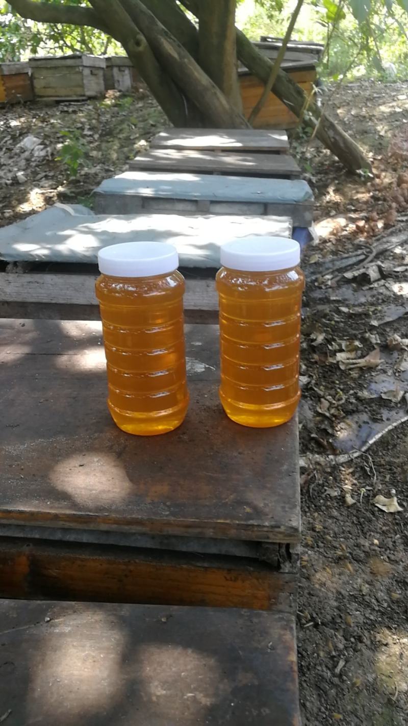 土蜂蜜