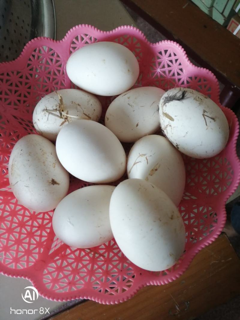 农副食品