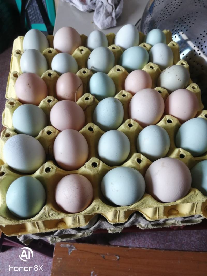 农副食品