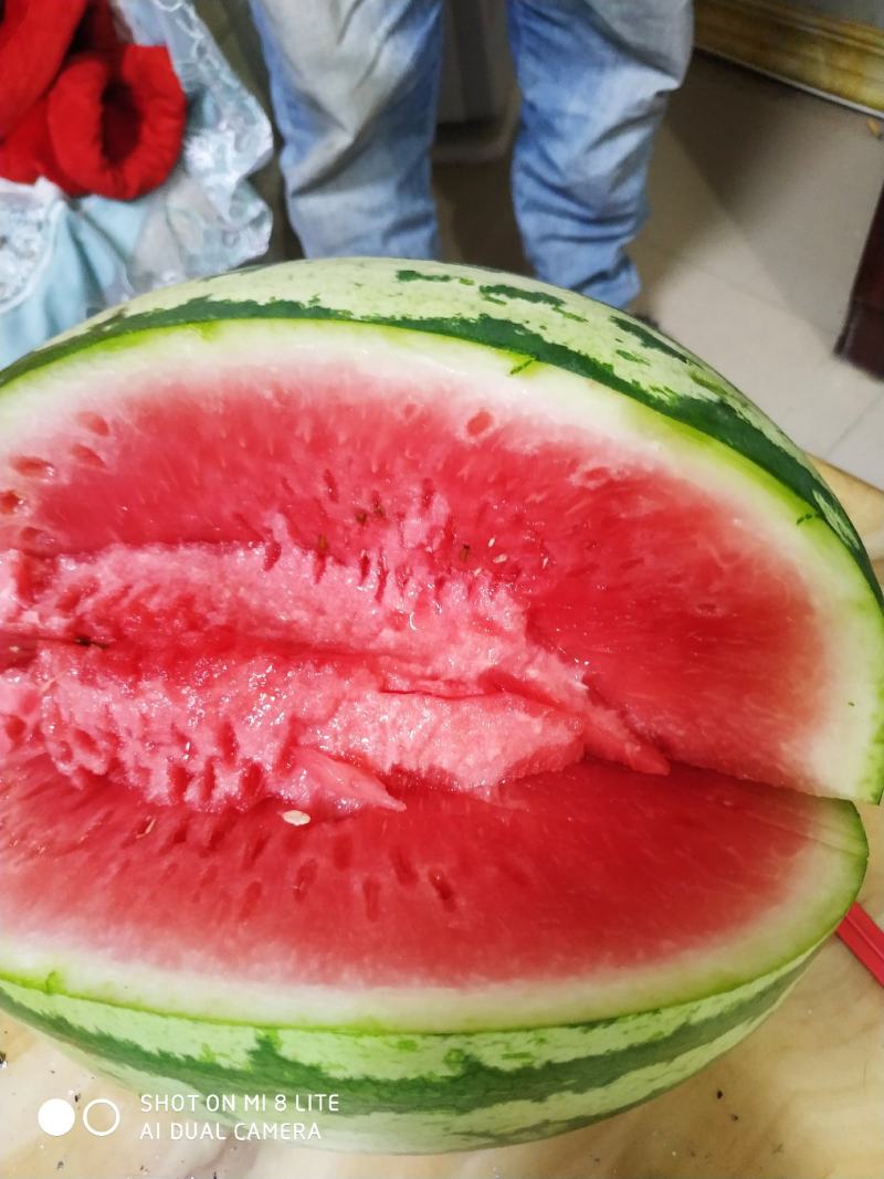 甜王西瓜大量上市，黑无籽西瓜，价格美丽，服务周到，欢迎咨询！