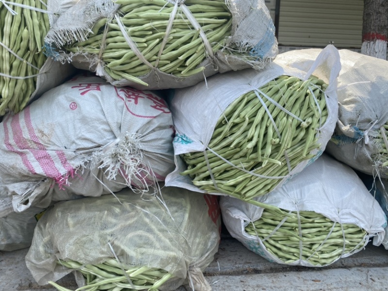 精品豆王常年代收豆角，