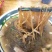 淮南牛肉汤粉丝沈氏牛肉汤粉丝插花牛肉汤专用粉丝