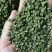 【精品】重庆青麻椒鲜花椒湿花椒色正味麻价格实惠质量保证