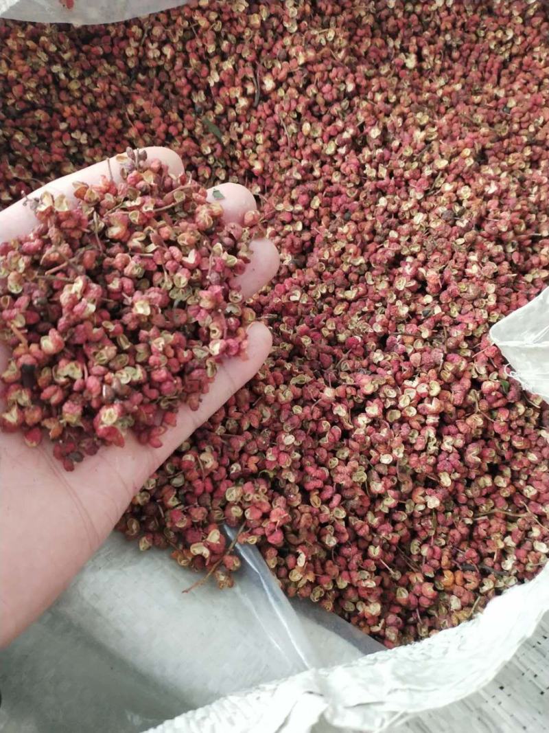 【精品】陕西韩城特级大红袍花椒新花椒色正味麻自产自销一手