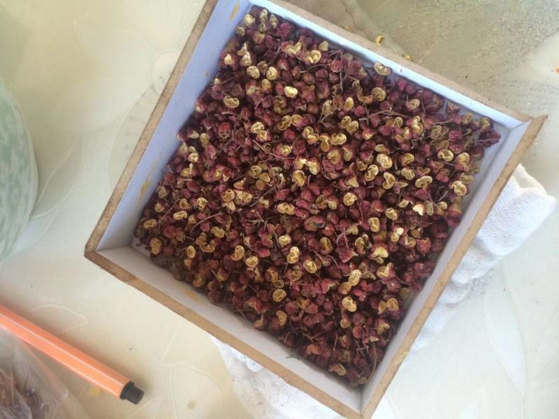 【精品】陕西韩城特级大红袍花椒新花椒色正味麻自产自销一手