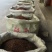 【精品】陕西韩城特级大红袍花椒新花椒色正味麻自产自销一手