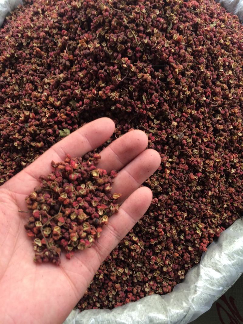 【精品】陕西韩城特级大红袍花椒新花椒色正味麻自产自销一手