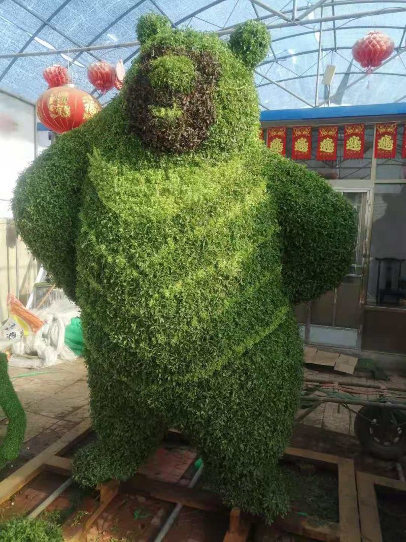 五色草