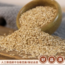 25年新白芝麻自家合作社种的河南芝麻一级净货不打药无污染