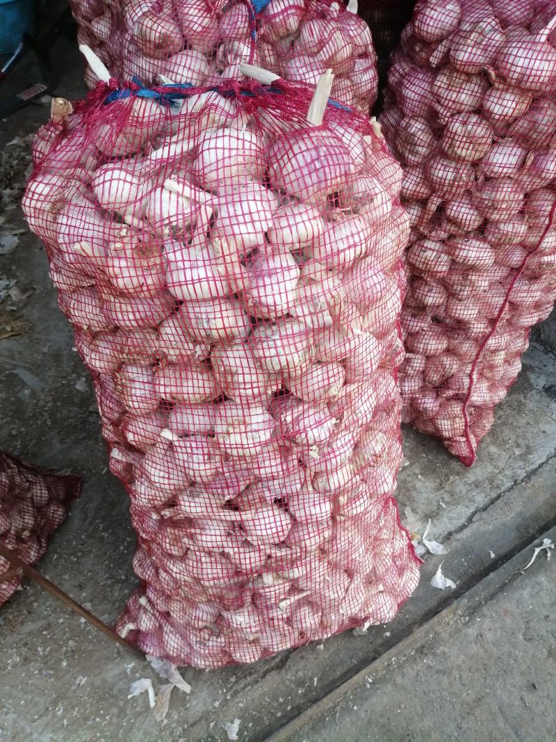 量大质优