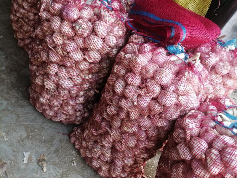 量大质优