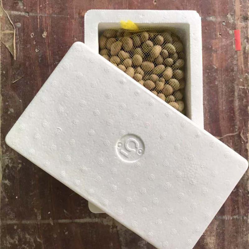【产地直】新鲜山药豆农家铁棍山药豆一件代发批发整箱包邮