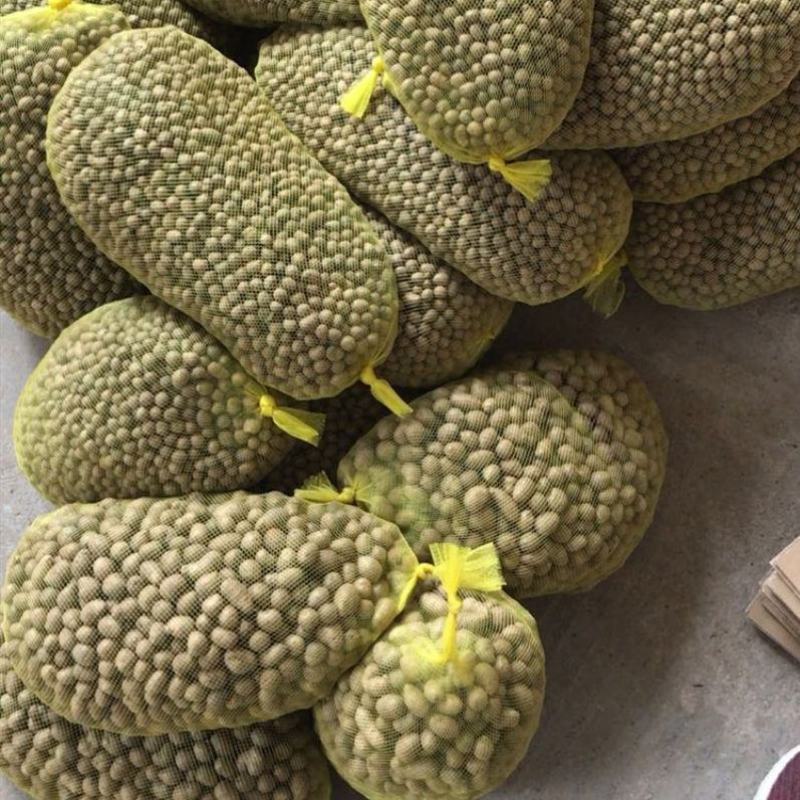 【产地直】新鲜山药豆农家铁棍山药豆一件代发批发整箱包邮