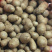 【产地直】新鲜山药豆农家铁棍山药豆一件代发批发整箱包邮