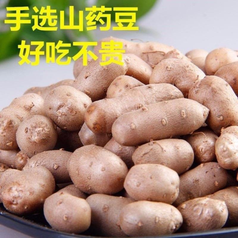 【产地直】新鲜山药豆农家铁棍山药豆一件代发批发整箱包邮