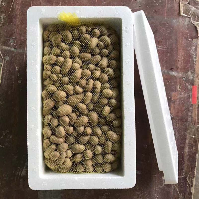 【产地直】新鲜山药豆农家铁棍山药豆一件代发批发整箱包邮