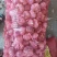 杂交精品净蒜大量供应市场超市电商