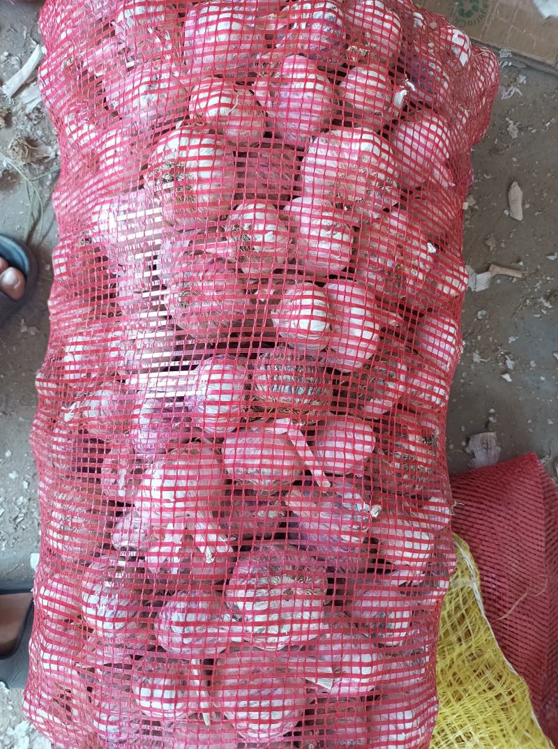杂交精品净蒜大量供应市场超市电商