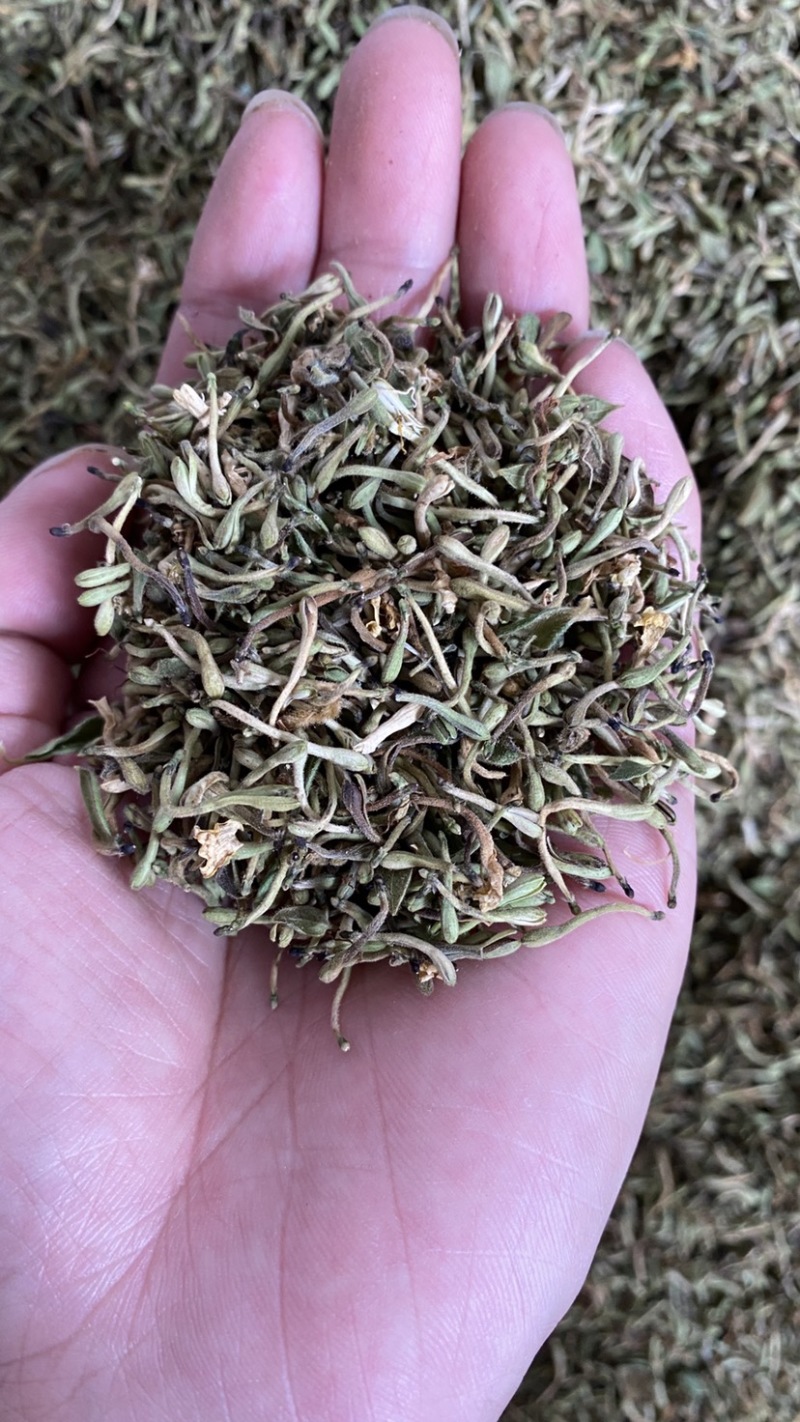 金银花纯花蕾杂质少色青，来自原产地，长期有货，质量保证