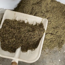 金银花纯花蕾杂质少色青，来自原产地，长期有货，质量保证