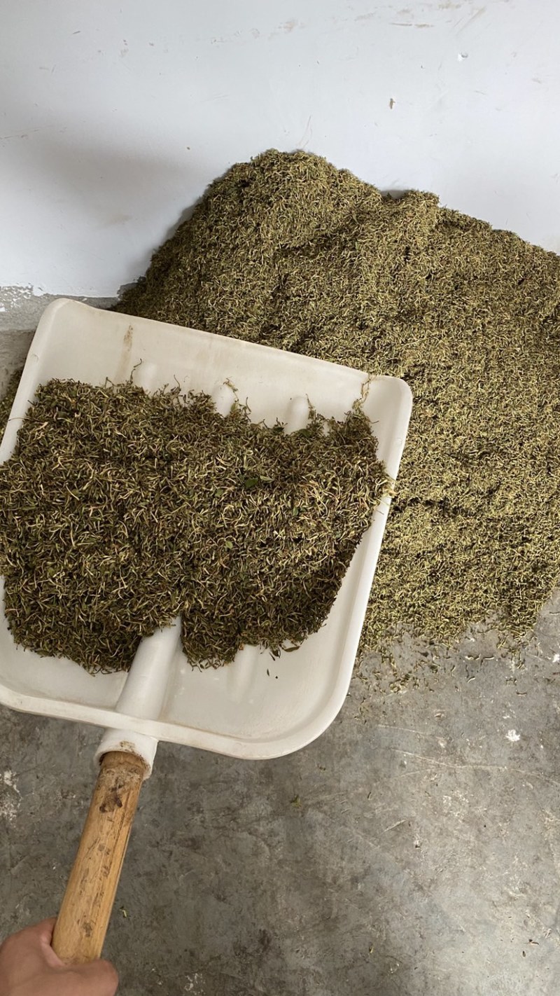金银花纯花蕾杂质少色青，来自原产地，长期有货，质量保证