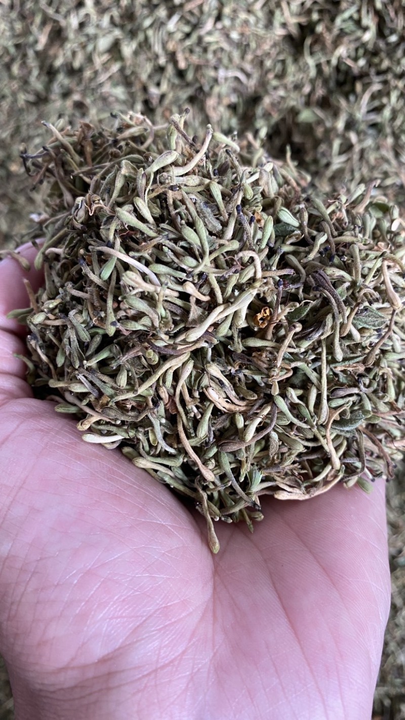 金银花纯花蕾杂质少色青，来自原产地，长期有货，质量保证
