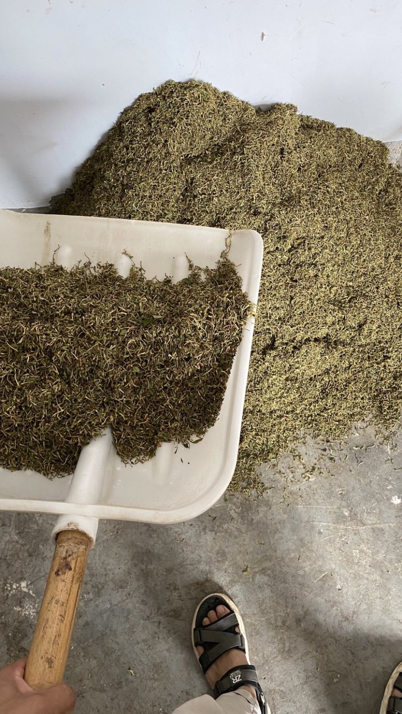 金银花纯花蕾杂质少色青，来自原产地，长期有货，质量保证