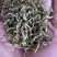 金银花纯花蕾杂质少色青，来自原产地，长期有货，质量保证