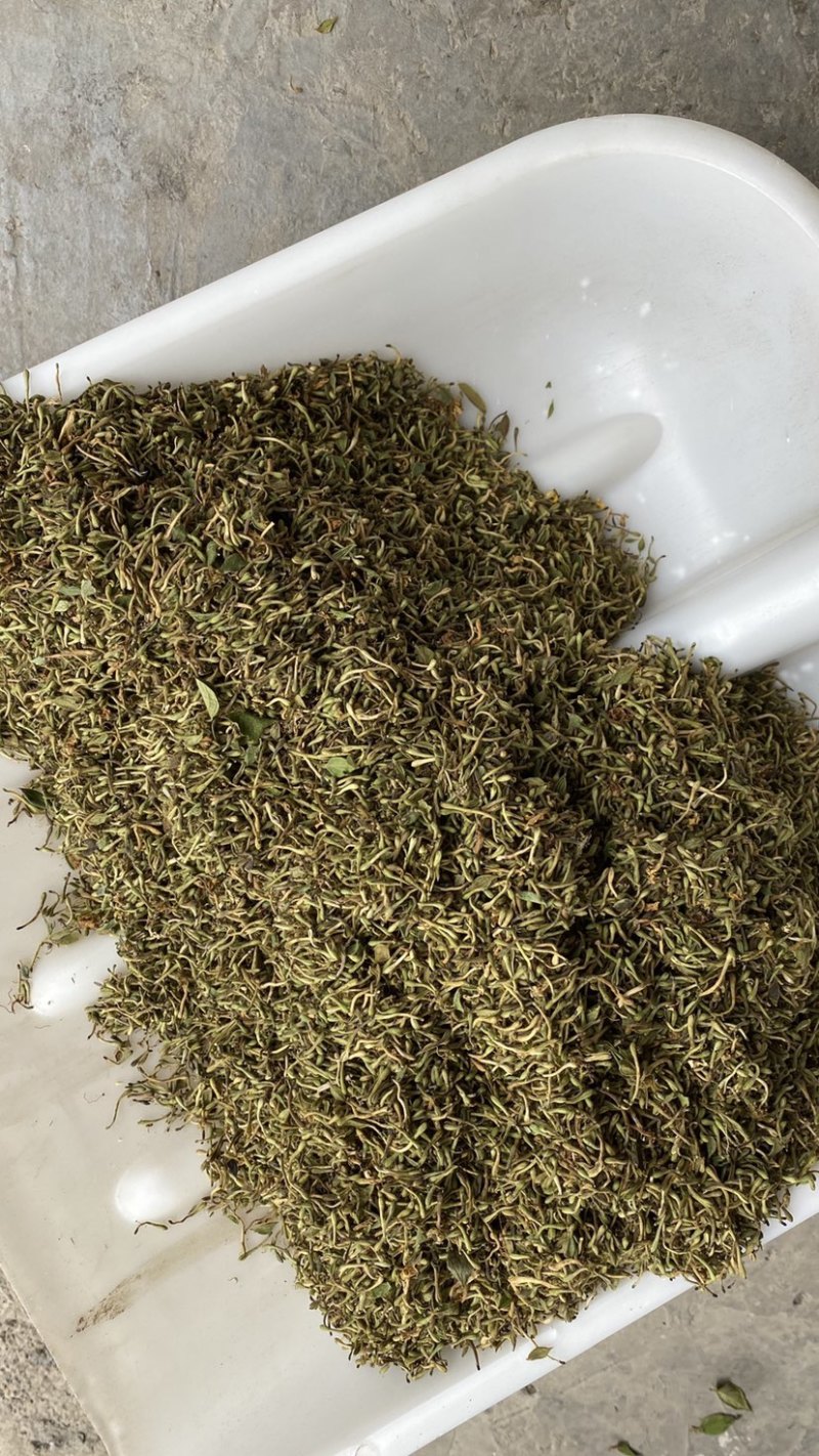 金银花纯花蕾杂质少色青，来自原产地，长期有货，质量保证