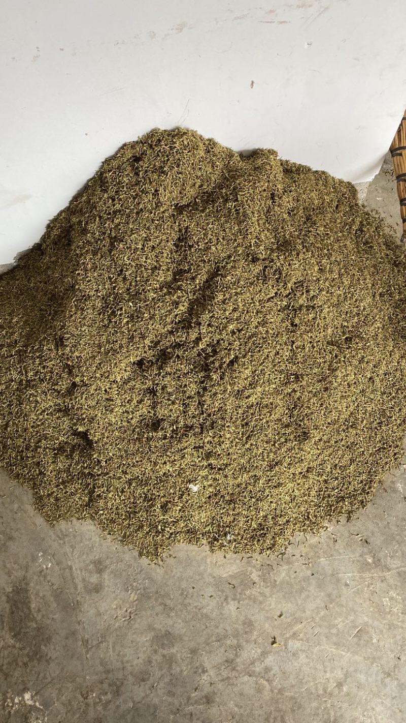 金银花纯花蕾杂质少色青，来自原产地，长期有货，质量保证