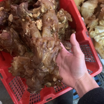 牛蹄筋
