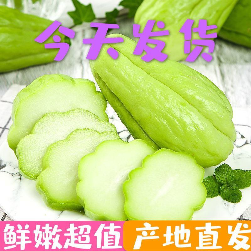 【产地直】【一件代发】货源稳定云南新鲜佛手瓜整箱包邮
